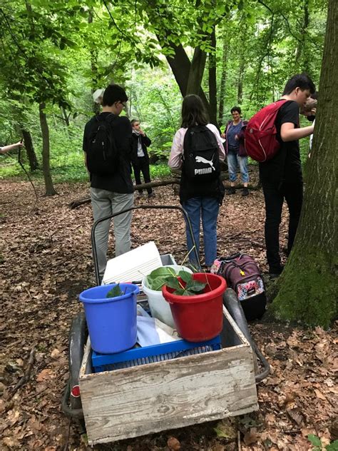 Kosystem Wald Besuch Im Schulbiologiezentrum Hannover Ludwig