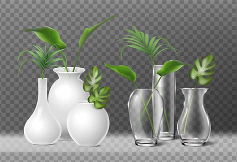 3d Realistic Icon Isolated Glass And Porcelain Flower Vases With Plants Inside 9522217 Vector