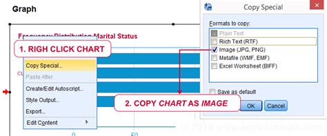 How To Export Spss Graph To Excel Kellum Exclout