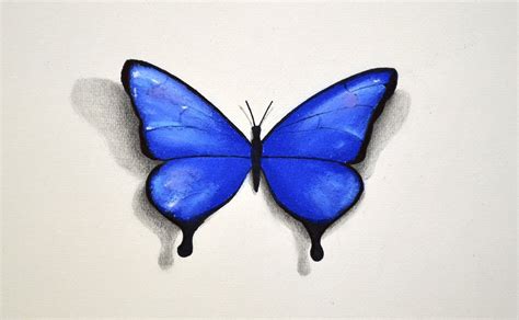 How To Draw A Butterfly With Pastel Fine Art Tips