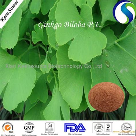 Offer Ginkgo Biloba Extract Ginkgo flavone Glycosides 24% Terpene Lactone 6% by HPLC,China price ...