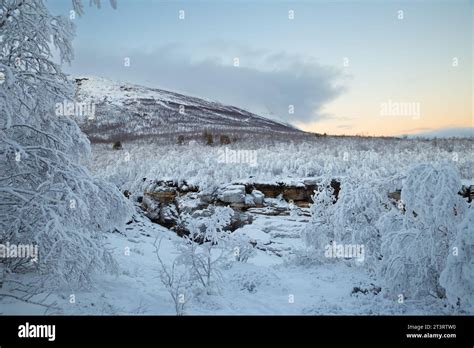 Snow covered Abisko Canyon in winter in the Abisko National Park ...