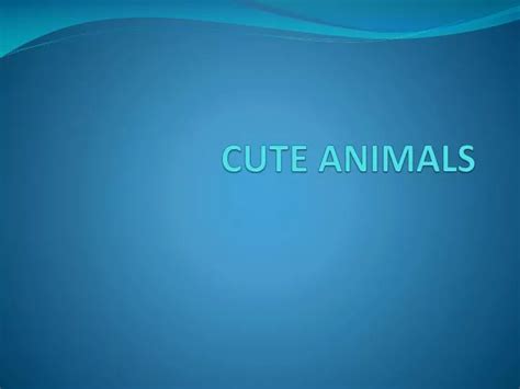 PPT - CUTE ANIMALS PowerPoint Presentation, free download - ID:2243906