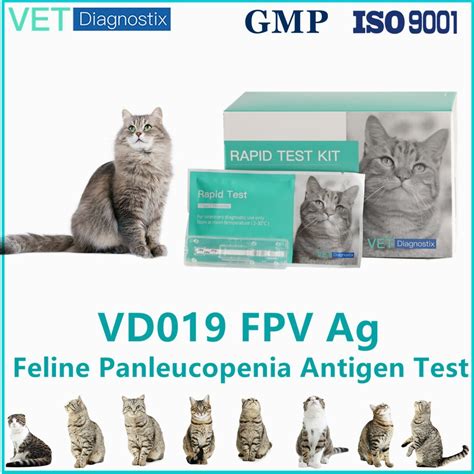 Feline Panleucopenia Test Kit Veterinary Rapid Test Kit Fpv Test Kit