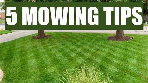 Lawn Mowing Tips How To Mow Your Lawn Like A Pro LawnHelpful