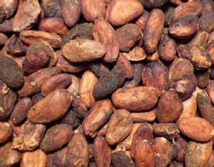 Cacao Beans Raw Planet Organic Unpeeled Unfermented Bali