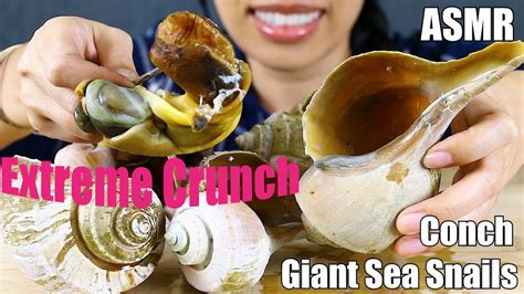 Asmr First Time Eating 🐌🐚giant Sea Snails 🐌🐚 Aka Conch Or Whelk L