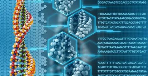 Bioinformatics and Computer Skills : Plantlet