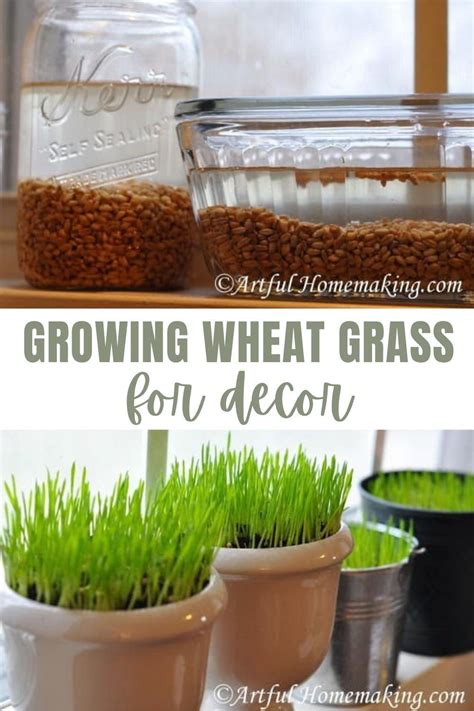 Wheat Grass Centerpieces Artofit