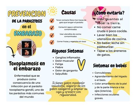 Parasitosis En El Embarazo Escuela Medica Udocz