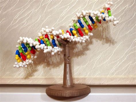 Folding Dna Model Kit By Verid Based On A Design By Mkuiper