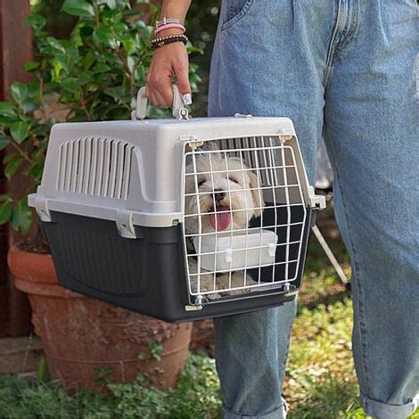 Ferplast Atlas Open Panier De Transport Pour Petits Chiens Et Chats