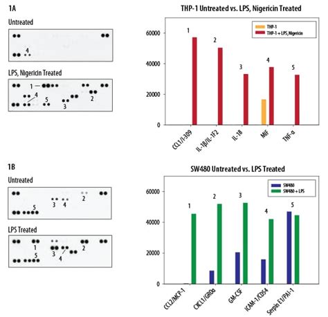 Multiplex Cytokine Assay Kits Products Bio Techne