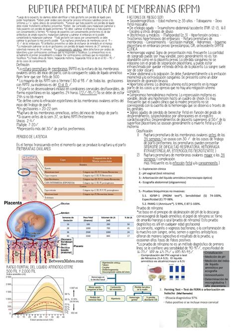 Solution Ruptura Prematura De Membranas Studypool