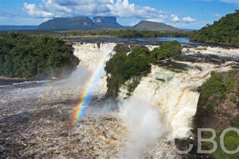 Documental expone las devastadoras consecuencias de la minería ilegal