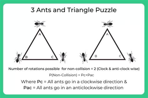 Ant And Triangle Puzzle With Solution PrepInsta