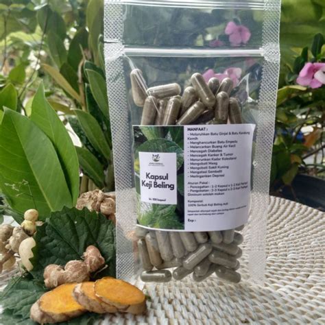 Jual Kapsul Keji Beling Original Herbal Untuk Batu Ginjal Atau