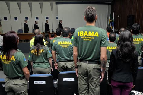 O Que Faz Um T Cnico Ambiental Do Ibama