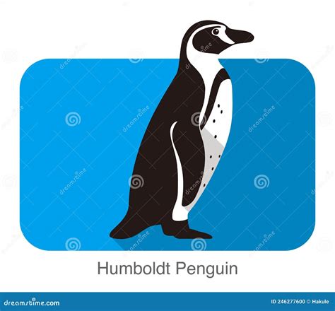 Ilustración Vectorial Del Pingüino Humboldt De Pie Ilustración del