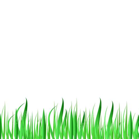 Realistic Grass Vector Hd Images Green Grass Border Realistic Png