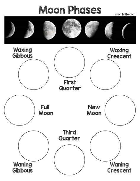 Phases Of The Moon Activity Grade 6