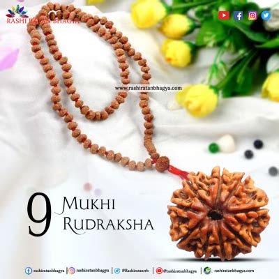 Best Mukhi Rudraksha Images In April