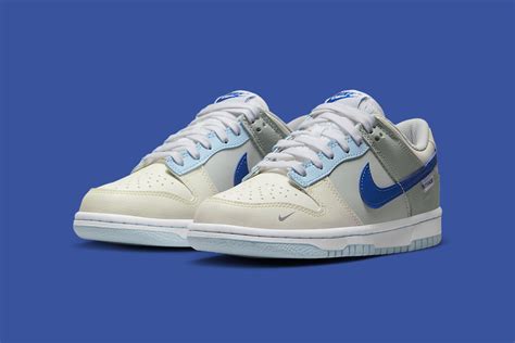 Nike Dunk Low Gs Fb1843 141 Nice Kicks