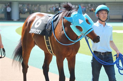 Jra Fun On Twitter 東京9r陣馬特別に、コウキチョウサン。 先日の中山グランドジャンプj・giを勝利し、数々の記録