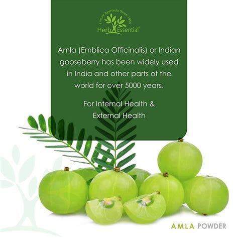 Herb Essential Amla Fruit Powder | Essential herbs, Amla, Herbs