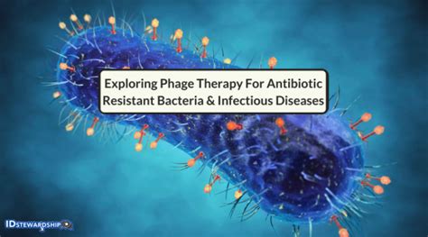 Exploring Phage Therapy For Antibiotic Resistant Bacteria Infectious