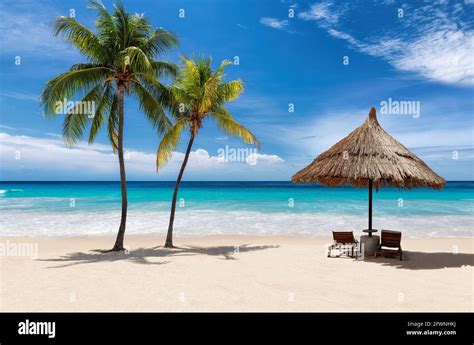 Sunny Beach Coco Palms Umbrella Tropical Sea In Caribbean Island