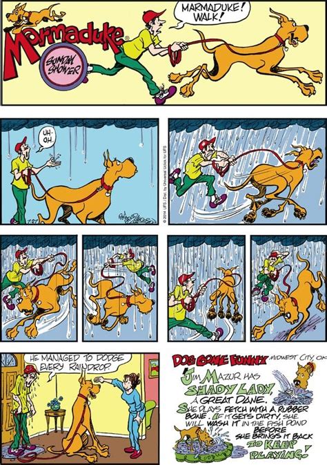 a comic strip with an image of a dog running through the rain