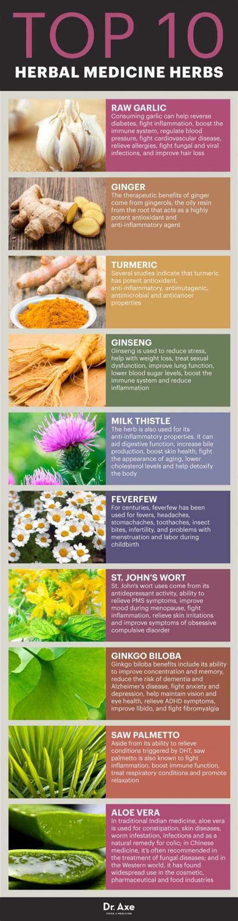 Top Ten Medicinal Herbs (Infographic) – Survival Stronghold