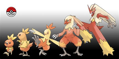 255 257 Torchic Line By Inprogresspokemon On Deviantart