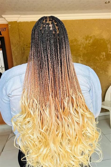 Stunning Black And Blonde Braids For Glam Trove