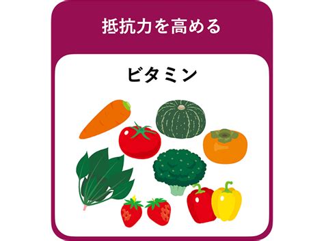 免疫力を上げる食べ物を30個以上紹介 効果的な食べ方も！専門家が解説 Puravida