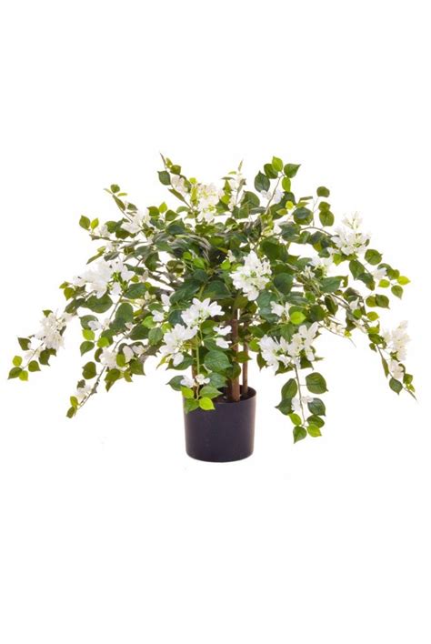 Artificial Bougainvillea Plant The Artificial Plants Shop