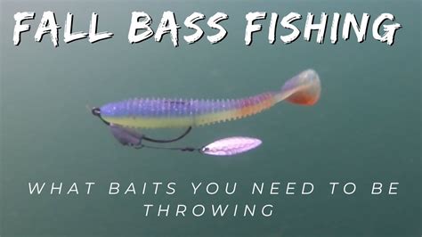 Early Fall Bass Fishing The Baits You Need To Be Throwing Youtube