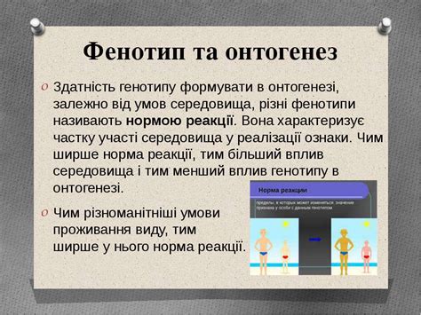 Генотипи і фенотипи - презентація з біології