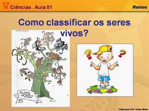 Plano De Aula Sobre Classificação Dos Seres Vivos 7O Ano Sobre Isso