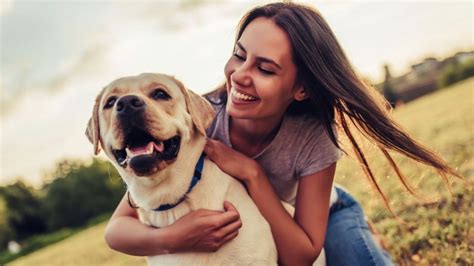 Cuánto tiempo recuerdan los perros a sus dueños según la ciencia Terra