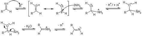 Strecker Synthesis