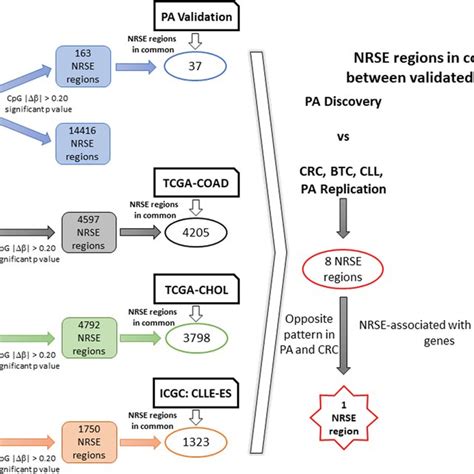 Analysis Workflow Workflow Of Dna Methylation Alterations Selection