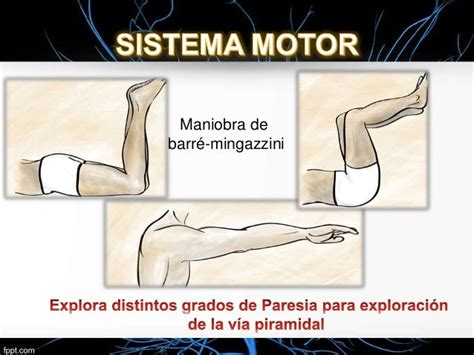 Evaluación Neurológica