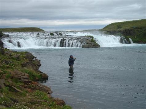 Go Fishing Iceland Kopavogur 2018 All You Need To Know Before You