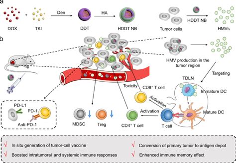 In Situ Generation Of Micrometer Sized Tumor Cell Derived Vesicles As