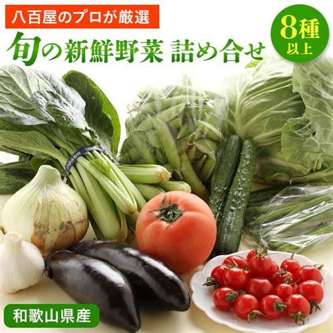 旬の新鮮野菜詰め合わせ 8種以上【野菜セット】 和歌山県印南町｜jre Mallふるさと納税