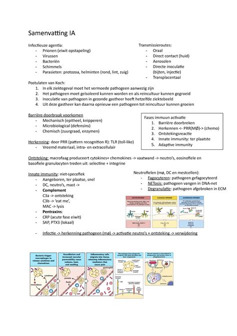 Samenvatting Ia Korte Sv Met Alle Essentiele Info Samenvatting Ia