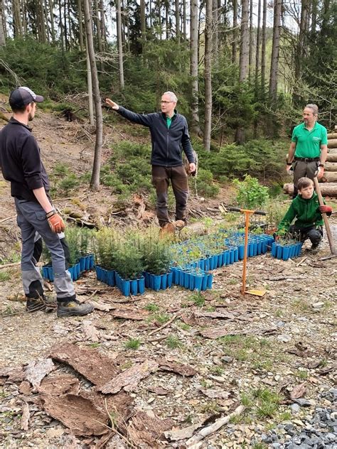 Baumpflanzaktion Der Firmlinge Am Katholische Pfarrei Sankt