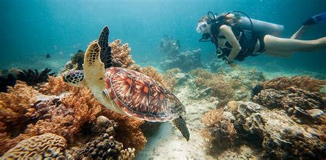 Gili Air Lombok Pulau Mungil Dengan Sejuta Pesona